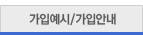 가입예시/가입안내