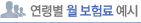 연령별 월 보험료 예시