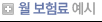 월 보험료예시